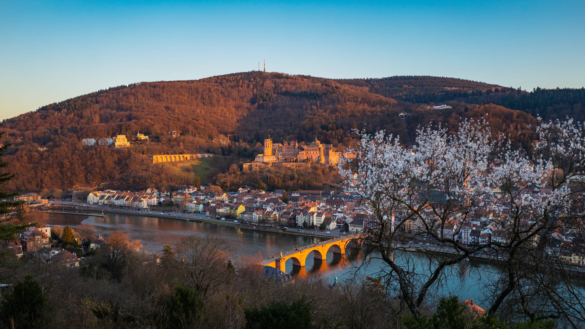 Blick über den Neckar auf Alte Brücke, Altstadt und Heidelberger Schloss